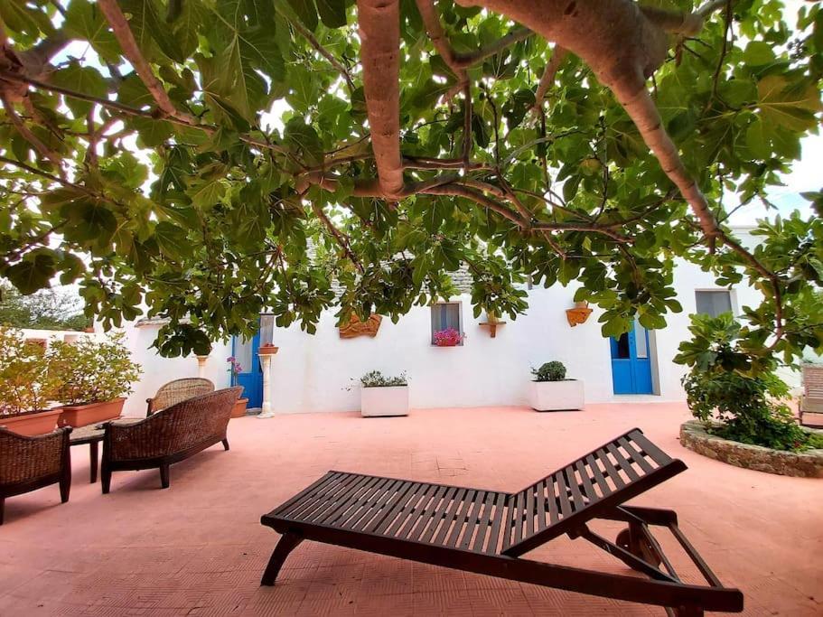 Trulli Pasquina Apartment Martina Franca Ngoại thất bức ảnh